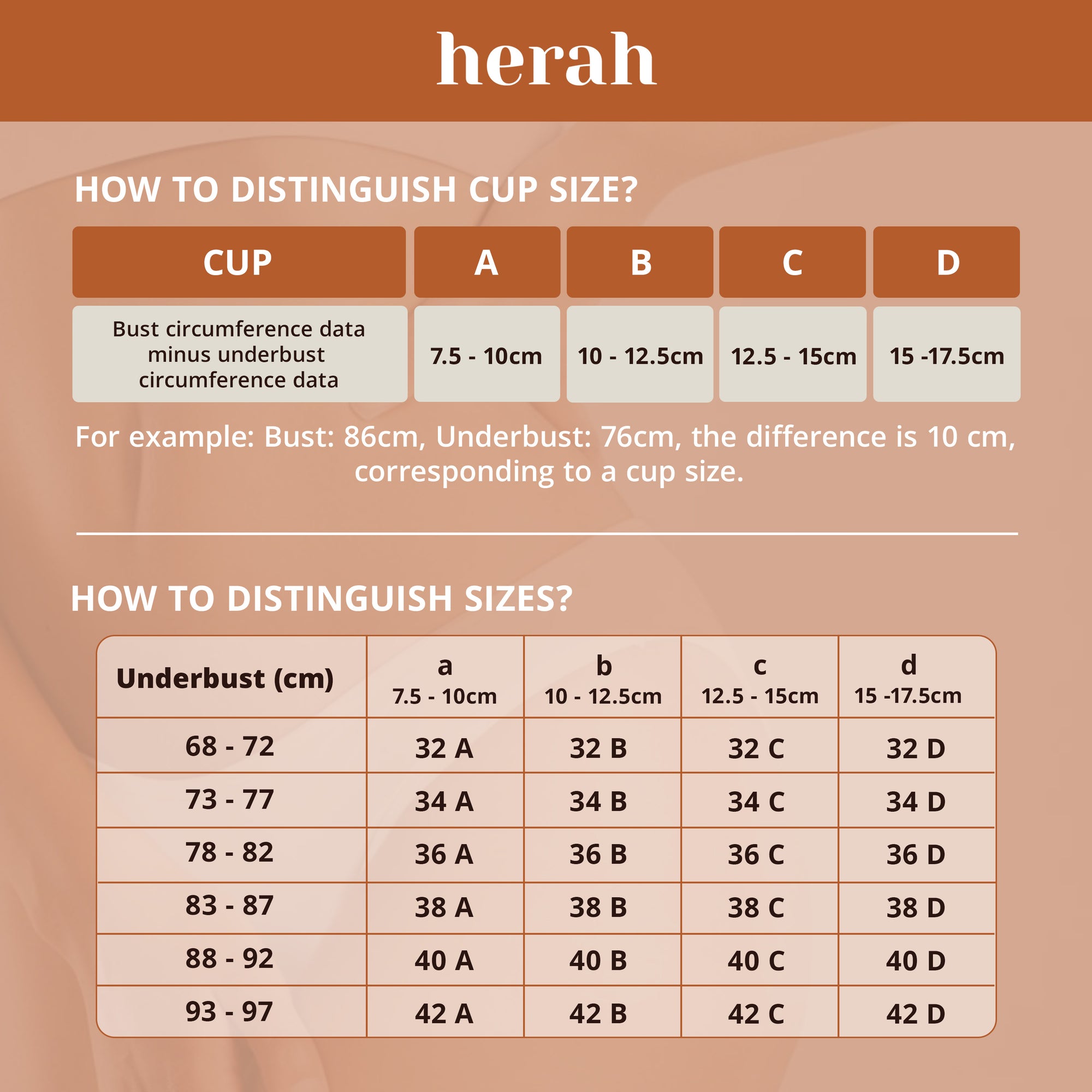 BUY ONE GET ONE: Push Up Bra with 3D Support